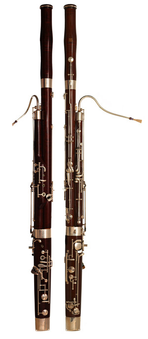 Foxbassoon